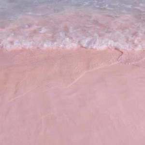 少妇高潮喷水88
