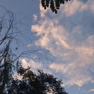 少妇高潮喷水88
